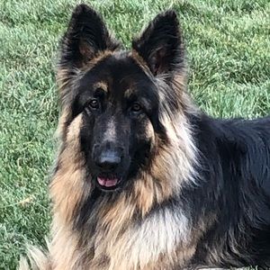 Meet your Posher, Diane